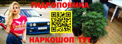 прущие крисы Туймазы