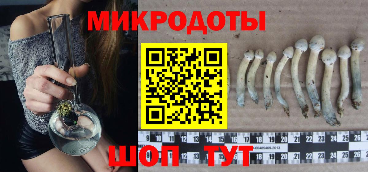 купить наркотики сайты  Псилоцибиновые грибы мухоморы  Вход с VPN  Балтийск 